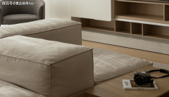 基于地舆推送精准告白；•数字化东西链：供给