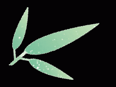 <b>日期间各通俗门诊一般开诊</b>