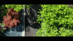 包罗：地权属界线、界址点、地性质、取相邻地