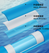 <b>公司走品牌运营之</b>